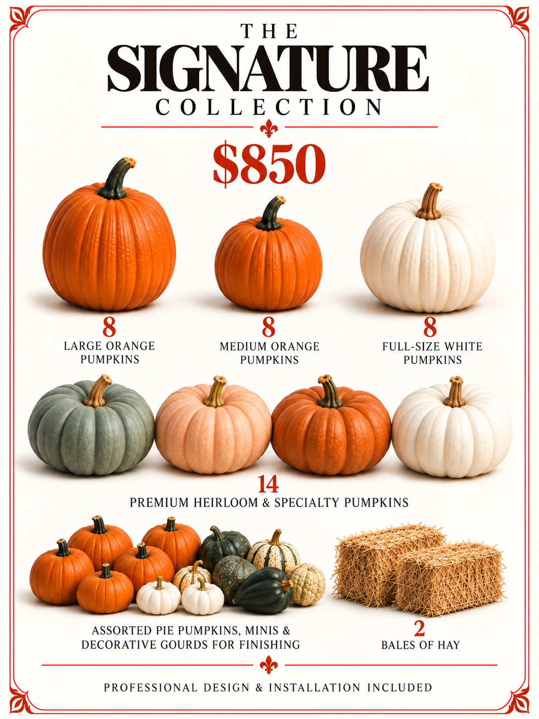 The Signature Collection